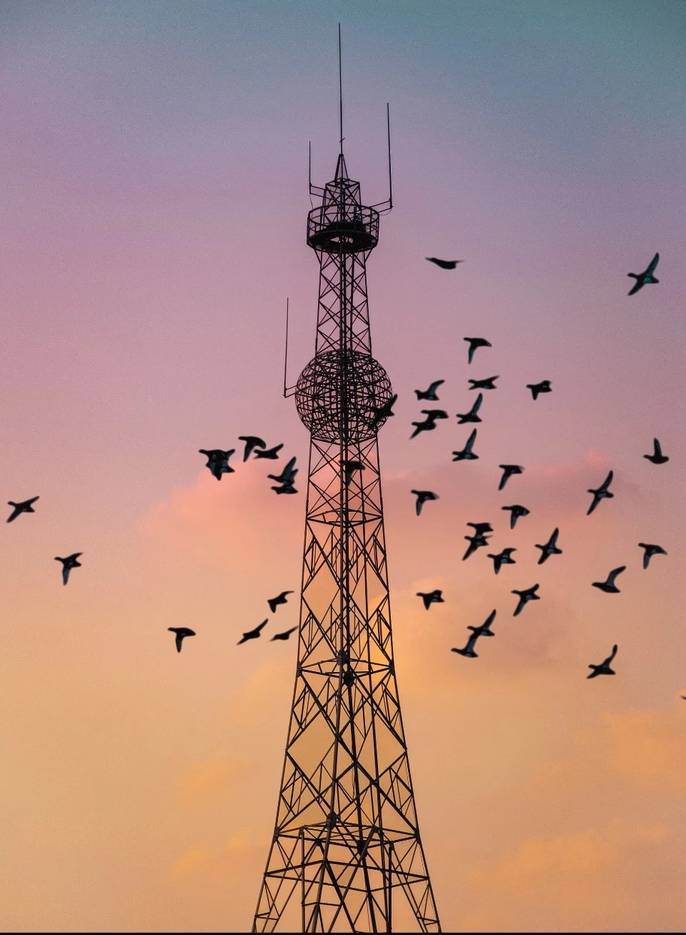 Signal Tower